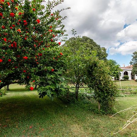 Agriturismo Monte Scala Taglio di Po Kültér fotó