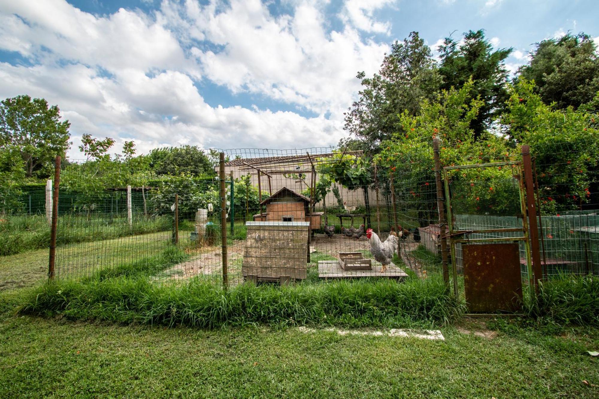 Agriturismo Monte Scala Taglio di Po Kültér fotó
