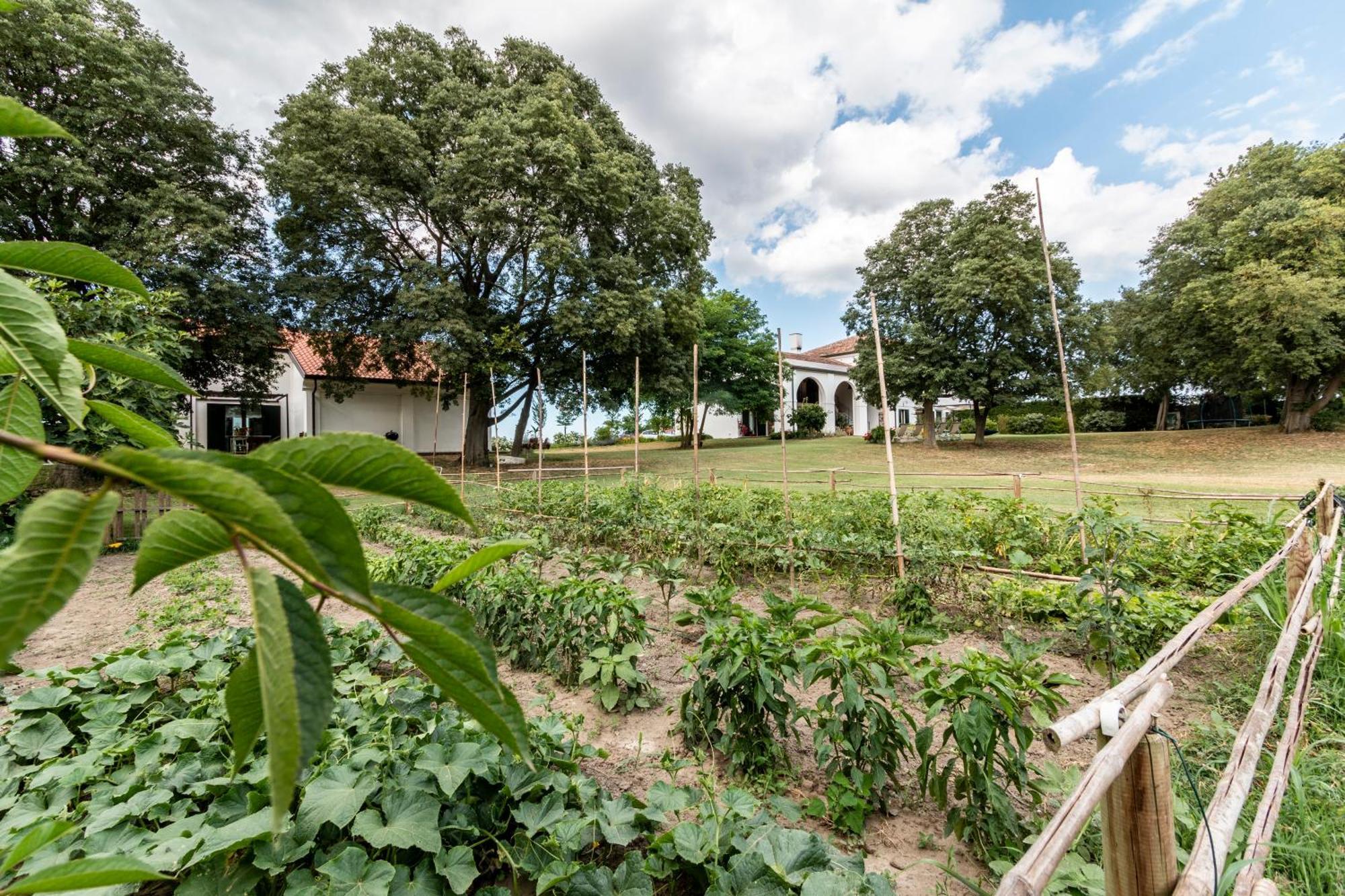 Agriturismo Monte Scala Taglio di Po Kültér fotó